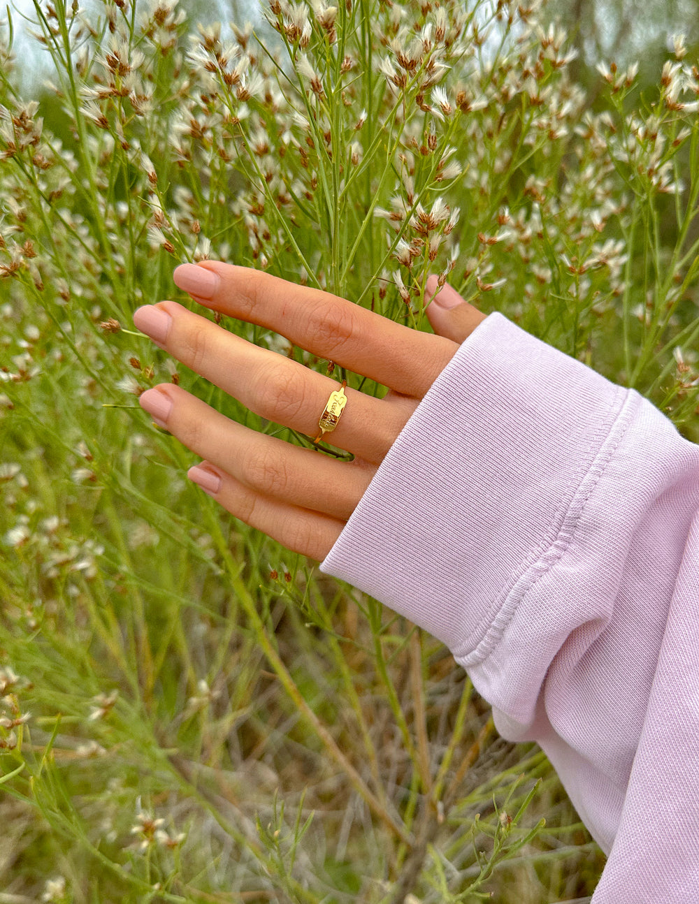 Hand wearing a gold ring with a blurred natural background